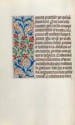 Stundenbuch Gebrauch von Rouen: fol. 24v