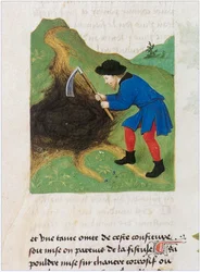 Le Livre des simples medecines - Übersetzung ins Französische aus dem lateinischen Manuskript des 12. Jahrhunderts von Matthaeus Platearius
