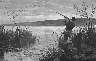 Entenjagd am Saratoga-See, 1973, 1883