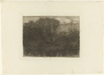 Waldteich