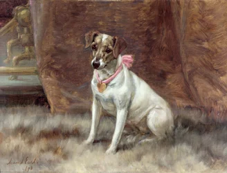 Die rosa Schleife, 1898