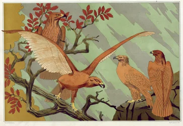 Adler, veröffentlicht 1897