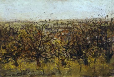 Apfelbäume in Montmagny