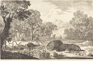 Flusslandschaft mit zwei Bibern
