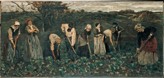 Arbeiter im Rübenfeld