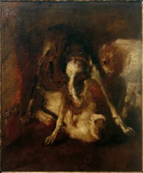 Hund spielt mit Katze