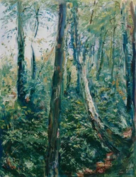 Waldweg