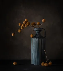 Longan-Stillleben