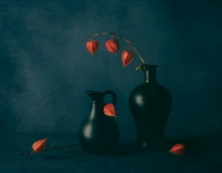 Stimmungsvolle Lampionblumen