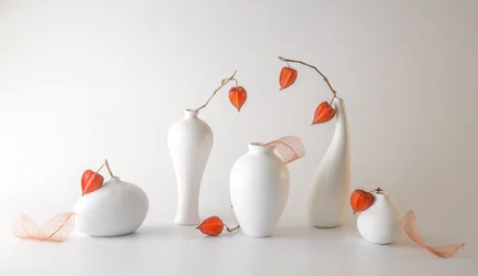Stillleben mit orangefarbenen Physalis