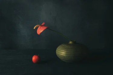 Stillleben mit roter Anthurie