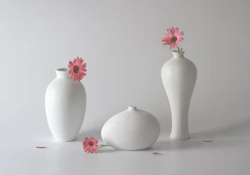Heitere Blumenvasen