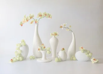 Heiteres Orchideenarrangement