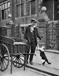 Katzenfleischmann, London, 1926-1927
