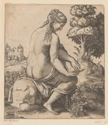 Venus und die Rose