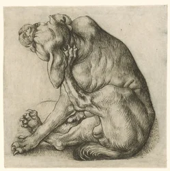 Kratzender Hund