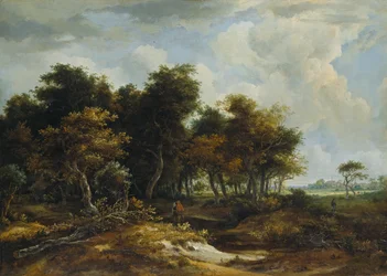 Eingang zu einem Wald