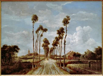 Die Allee von Middelharnis