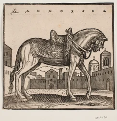 Elegantes gesatteltes Pferd, Profil nach rechts, auf einem rechteckigen Platz