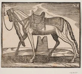 Elegantes gesatteltes Pferd, angebunden an der linken Rahmenlinie, Profil nach links; unter dem Bauch des Pferdes sieht man eine Ruine