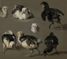 Sieben Küken