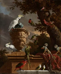 Die Menagerie