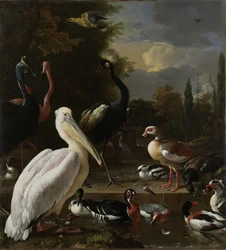 Ein Pelikan und andere Vögel an einem Teich, bekannt als „Die schwimmende Feder“, ca. 1680