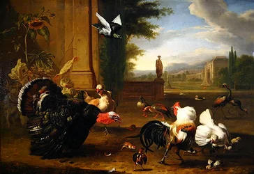 Ein Truthahn, Hahn und andere exotische Vögel in einem Park
