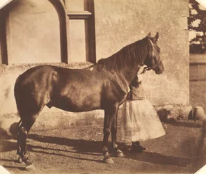Sultan, Mitte der 1850er Jahre