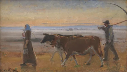 Kühe werden über das Moor getrieben