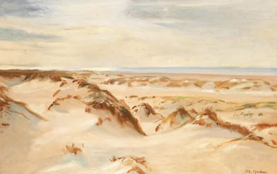 Dünen, Skagen