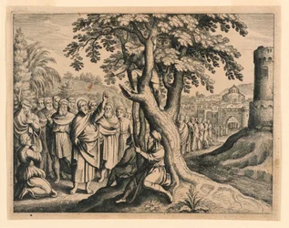 Zachäus der Zöllner