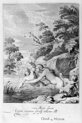 Die Nymphe Salmacis und Hermaphroditus