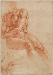 Sitzender junger männlicher Akt und zwei Armstudien (recto), ca. 1510-11