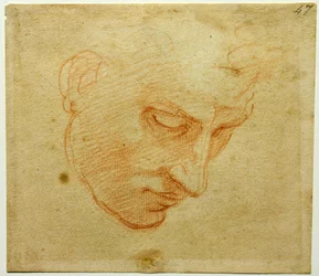 Kopfstudie zur Sixtinischen Kapelle, ca. 1509-1510