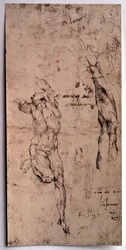 Nackter Mann, Armstudie