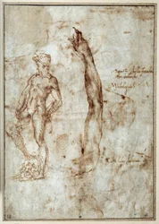 Aktstudie. Michelangelo Buonarroti genannt Michelangelo (Michelangelo oder Michel Ange)