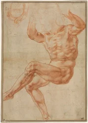 Studie für den nackten Jüngling über dem Propheten Daniel, 1510-1511