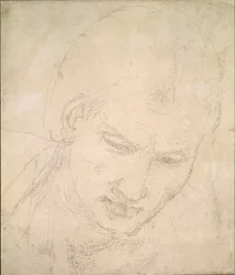 Studie eines Kopfes, ca. 1490-1560
