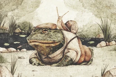 Frosch in gentlemanhafter Kleidung
