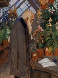 Porträt des Wissenschaftlers Charles Darwin, der Pflanzen im Gewächshaus untersucht