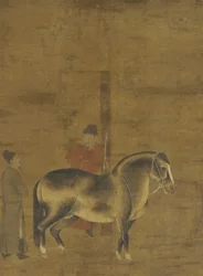 Begutachtung eines Pferdes