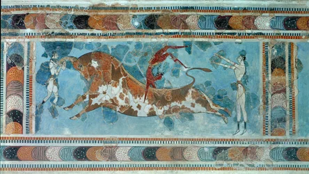 Minoische Zivilisation: „Szene des Taurokathapsia (oder Taurokatapsia), kretischer Sport, der darin besteht, auf den Rücken eines Stiers zu springen“ Fresko aus dem Palast von König Minos in Knossos. 1700-1400 v. Chr. Heraklion, Archäologisches Museum