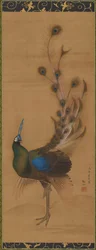 Pfau, 1786.