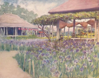 Ein Irisgarten, 1903