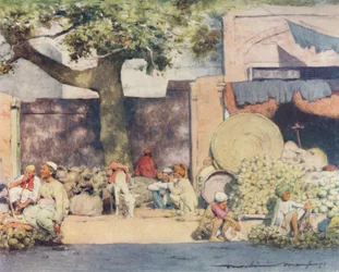 Obststände in Delhi, 1905