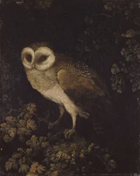 Eine Eule, 1780-1790