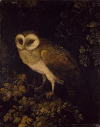 Eine Eule, 1780-90