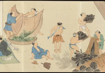 Illustrationen der Uji-Teeproduktion