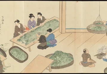 Illustrationen der Uji-Tee-Produktion
